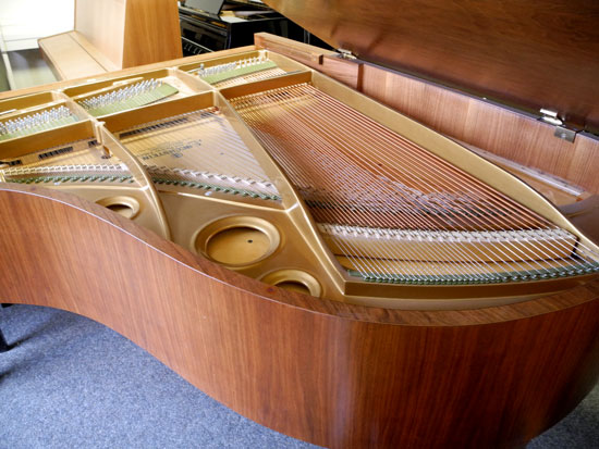 Bechstein Flügel