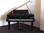 Pleyel Flügel