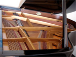 Pleyel Flügel